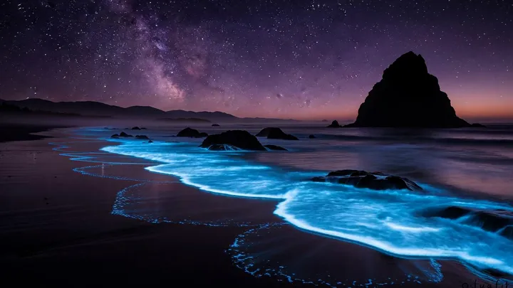 A still photo of glowing blue bioluminescent waves on a dark beach beneath a starry Milky Way sky