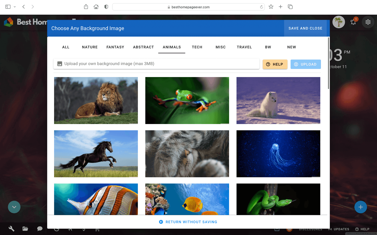 choosing a new high definition background on Best Homepage Ever.